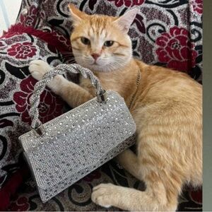 Meet your Posher, Fatima